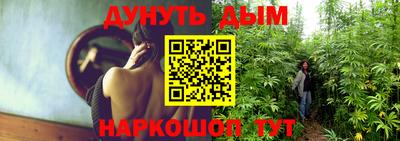ГАЛЛЮЦИНОГЕННЫЕ ГРИБЫ Пугачёв