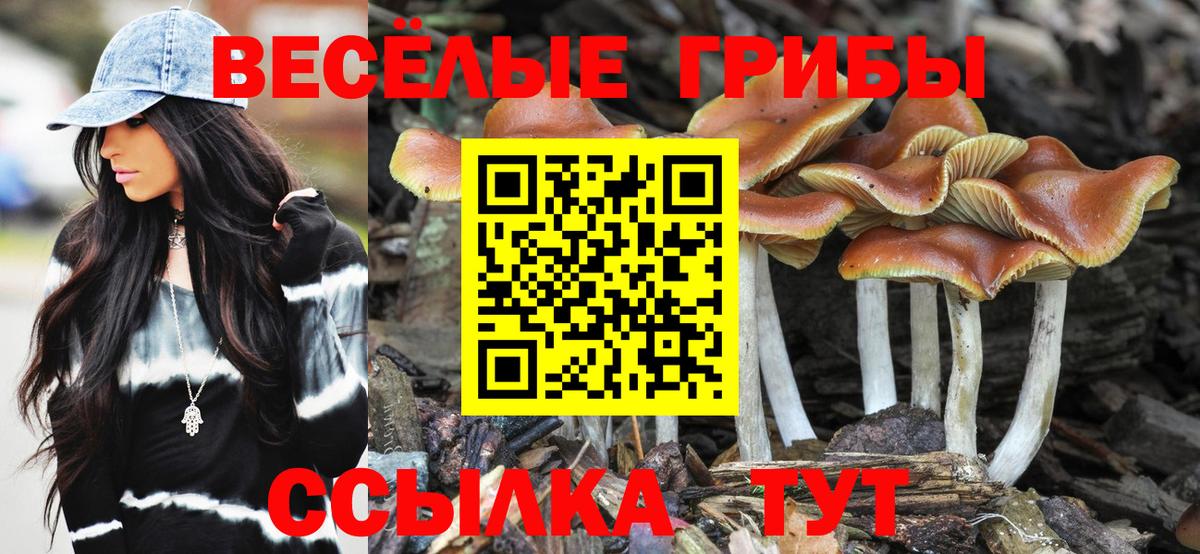 Галлюциногенные грибы MAGIC MUSHROOMS  Галлюциногенные грибы ЛСД  Советская Гавань  Вход с VPN 