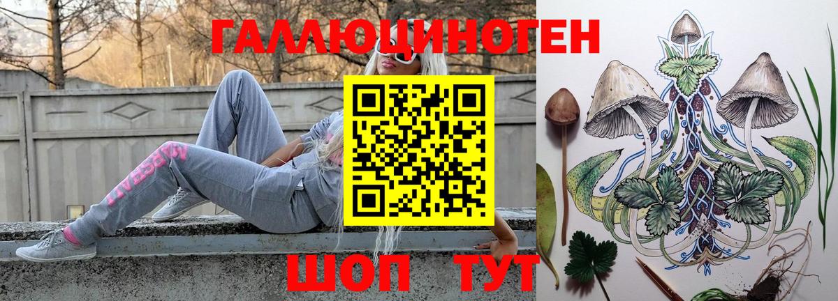 Галлюциногенные грибы Psilocybe Советская Гавань